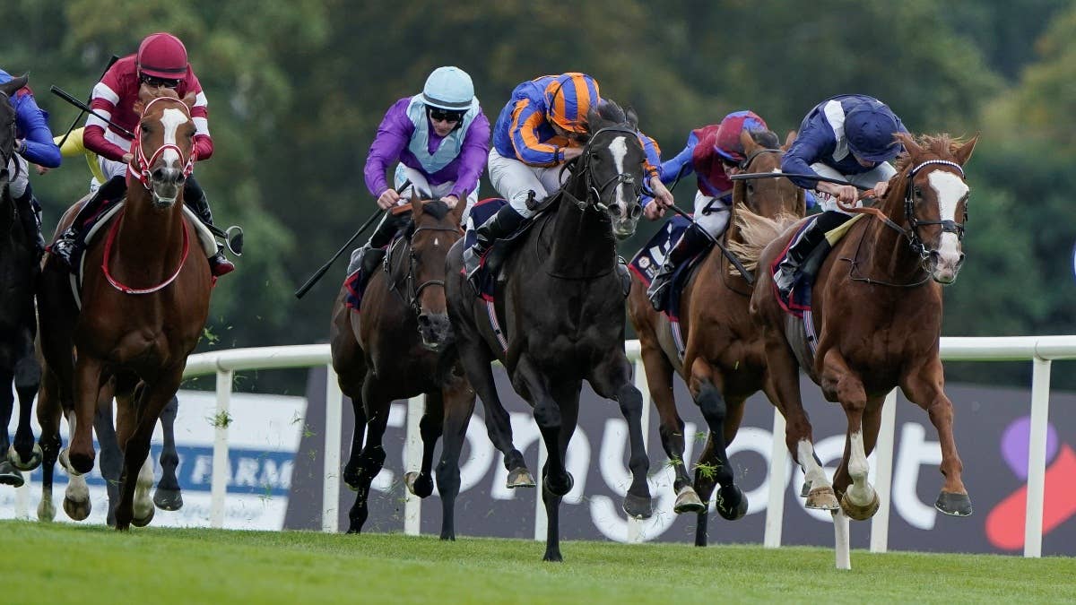 レース概要・過去結果 | 2025アイリッシュチャンピオンステークス