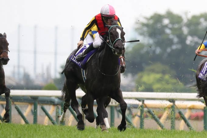洋書 フランス語 馬 販売情報 Deauville 競馬 ドーヴィル 2002 ドーヴィル (Deauville) | 競走馬データ - netkeiba