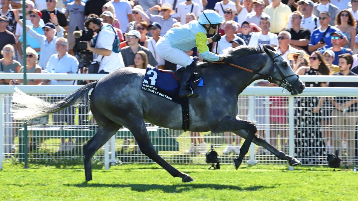 レース概要・過去結果 | 2025ジャックルマロワ賞 | JRA-VAN