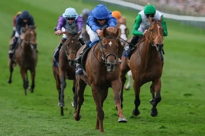 洋書 フランス語 馬 販売情報 Deauville 競馬 ドーヴィル 2002 ドーヴィル (Deauville) | 競走馬データ - netkeiba