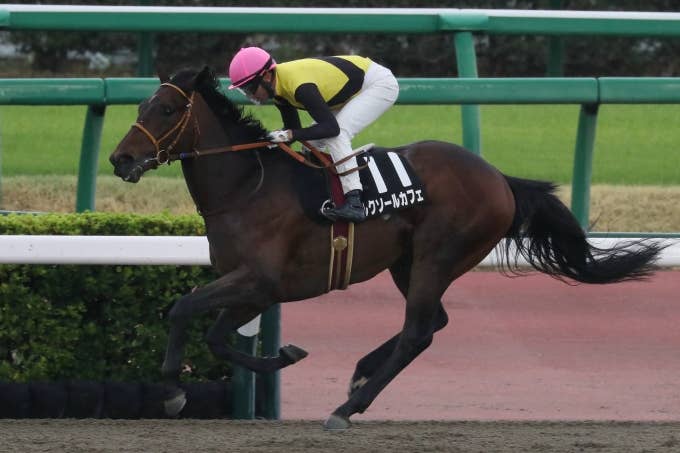 見どころ | 2025ケンタッキーダービー | JRA-VAN World - 海外競馬情報