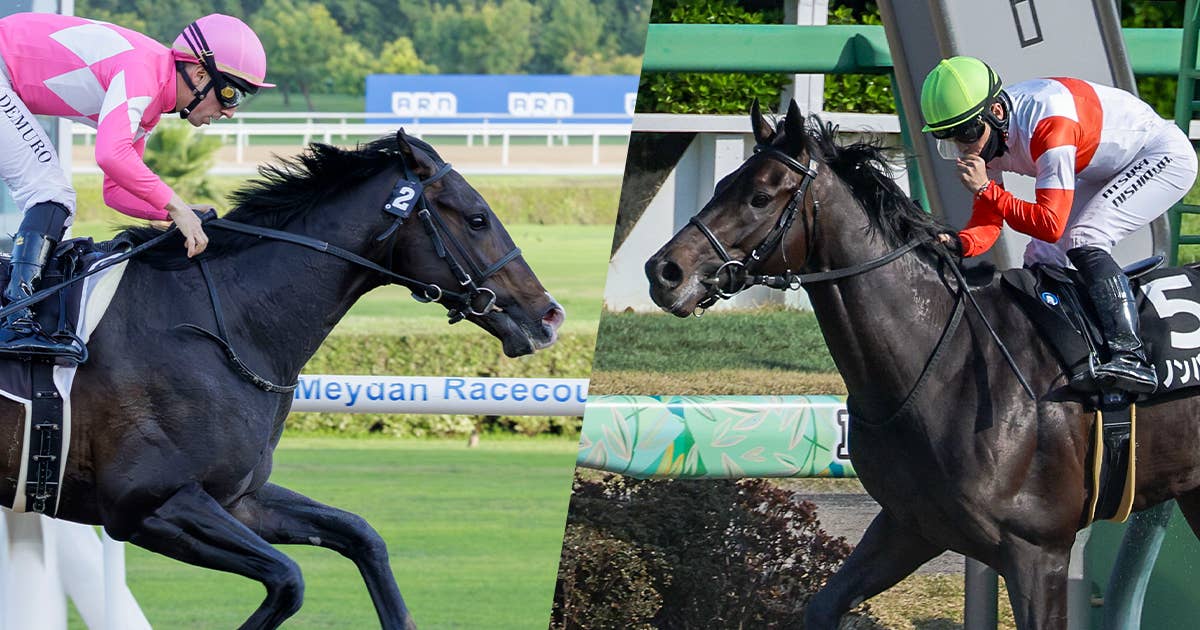 2026ケンタッキーダービー | JRA-VAN World - 海外競馬情報サイト