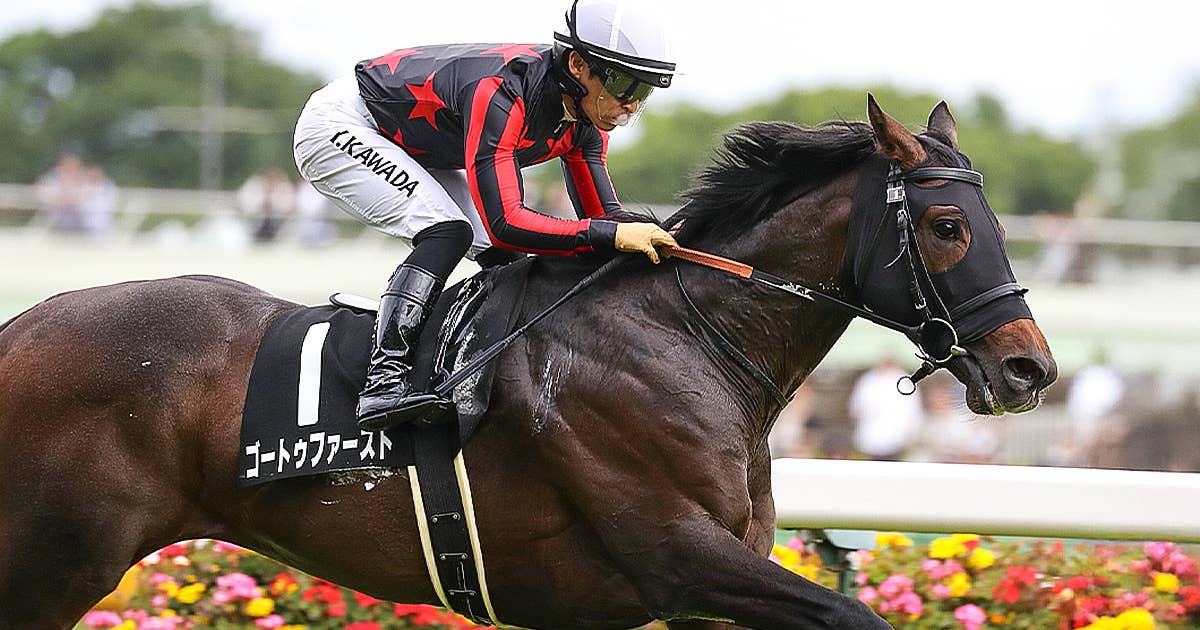 フランス競馬百年史　ギイ.チボー著　貴重 フランス競馬百年史 ギイ.チボー著 貴重 フランス競馬百年史