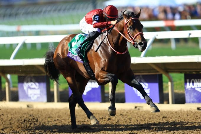 見どころ | 2026サウジカップ | JRA-VAN World - 海外競馬情報サイト