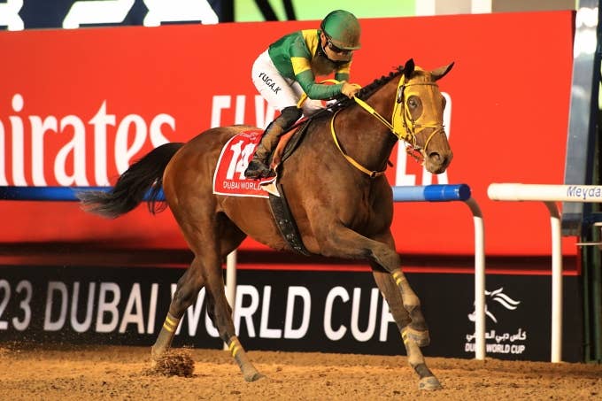 見どころ | 2024サウジカップ | JRA-VAN World - 海外競馬情報サイト