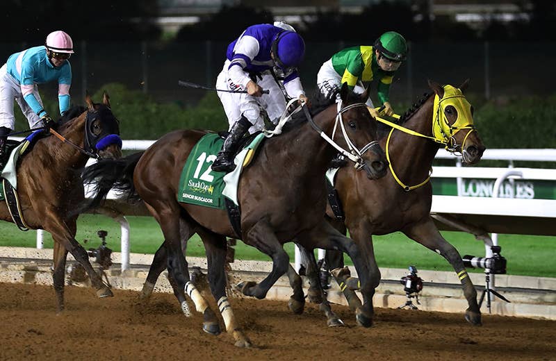 レース傾向 | 2025サウジカップ | JRA-VAN World - 海外競馬情報