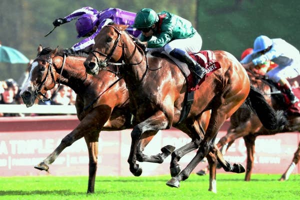 特集レース | 開催日程 | JRA-VAN World - 海外競馬情報サイト