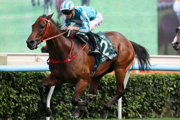 特集レース | 開催日程 | JRA-VAN World - 海外競馬情報サイト