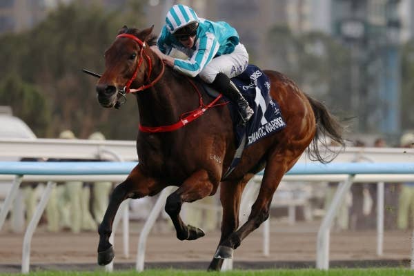 特集レース | 開催日程 | JRA-VAN World - 海外競馬情報サイト