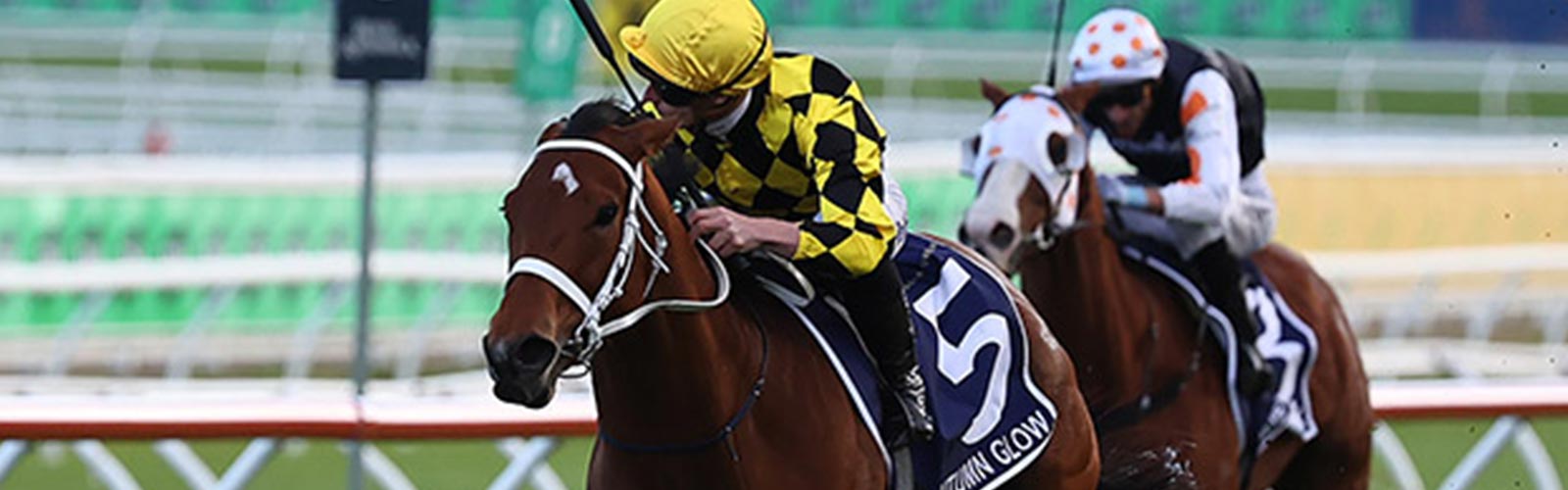 豪年度代表馬オータムグロウ<br>キングチャールズ3世Sを快勝