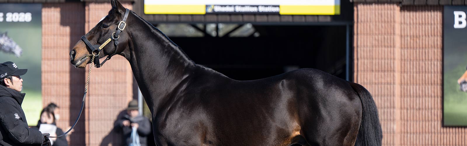 クールモアが日本の種牡馬に期待<br>今年はキタサンブラック産駒3頭など