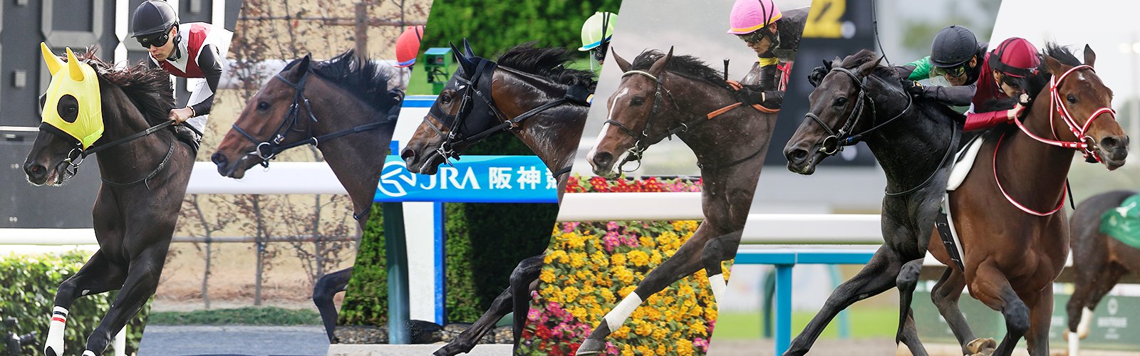 【ブリーダーズカップ】<br>最新情報はこちら