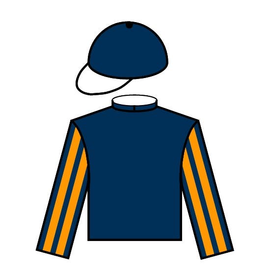 出馬表 | 2025香港チャンピオンズマイル | JRA-VAN World - 海外